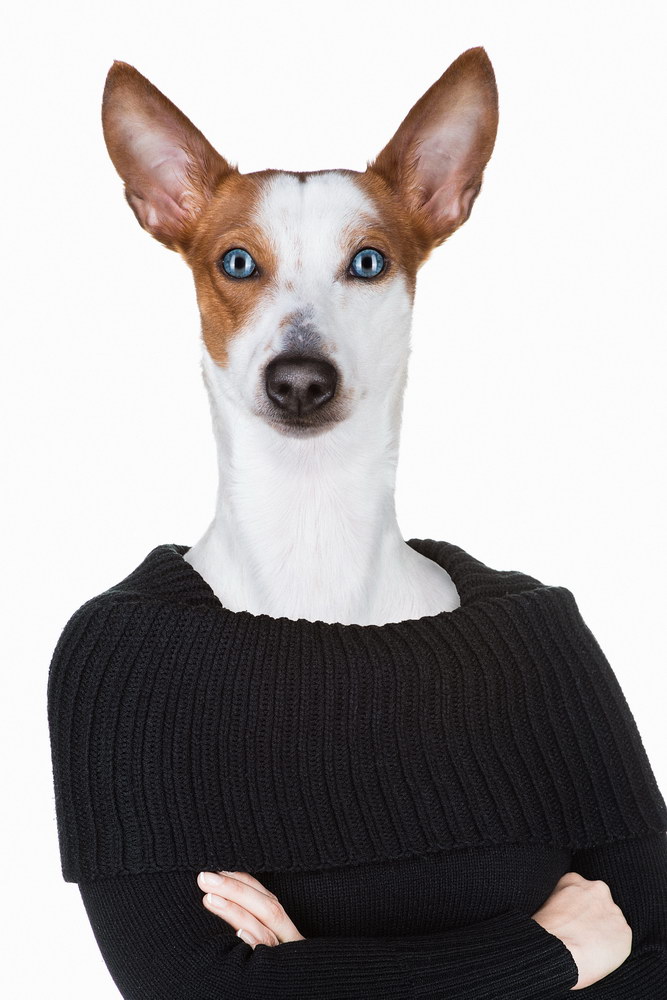 Brustkrebs, Christine Raab, Visagistin, Aschaffenburg, Make-Up Artist, Maskenbildner, Hund, Hundekopf, Perücke, Glatze, positiv, Großostheim (1)